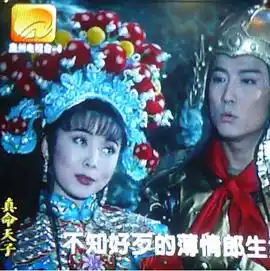 真命天子 - 电视剧台湾剧免费高清电影在线观看